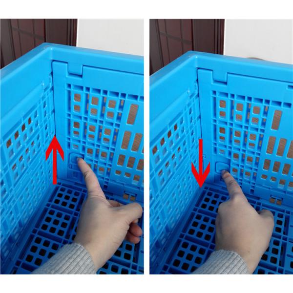 Fresh Food Loading Plastic Collapsible Crates 600*400*240 mm Mesh Structure