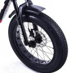 Hydraulic Disc Brake Electric Fat Tire Bike 500w 750w 1000w 20*4.0 Inch Moto