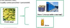 Wholesale 220L Aspetic Bag Packing Mango Puree Production Line 3 Tons Per Hour from china suppliers