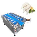 Food Fruit Squid Tube Vegetable Combination Weigher With Belt Conveyor 12/14