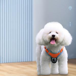 Wholesale Mini Magnetic Thumb Action Camera Video Recording Wireless Dog Camera Harness from china suppliers