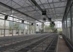 6 mm PC Sheet Greenhouse Multi Span Stainless Steel / Aluminum Profile