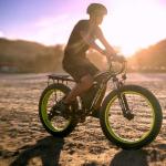 Lightest Long Range Electric Bikes Cycle 100km 1000w 48v 20Ah Hardtail