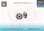 Denso Control Valve For Injector 095000-6480/6490/5160 RE529118/RE516540