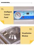 Automated Food Vacuum Packing Machine Meat Fish And Chicken DZ-260 Chamber