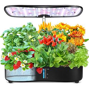 24W Hydroponics Small Garden Herbs Growing System 12 pods Leaf Green Plants