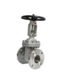 Industry 4 inch 6 inch 8 inch Soft Elastic Seated Flange Gate Valve with Rising