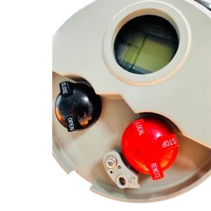 Wholesale 0.75 KW Electric Multi Turn Actuator Intelligent Explosion Proof 300NM IP67 from china suppliers