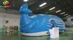 SGS Inflatable Water Park Whale Island Aqua Park Customized Theme Promotion