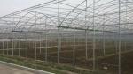 Easy Install Plastic Film Greenhouse , Dome Shaped Greenhouse Span Width 6 / 8 /