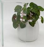 New Hot Items Low Iron Ultra Clear Glass For Building