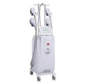 Wholesale Vertical Cryolipolysis Fat Slimming Machine For Weight Loss from china suppliers