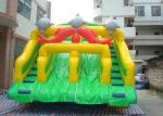 Fish Double Climbing Ladders Commercial Inflatable Slide For Adult