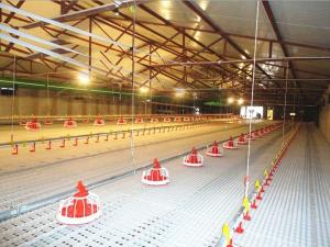 Wholesale PSF Goat Farming Plastic Flooring 50mm Plastic Slatted Flooring For Sheep from china suppliers