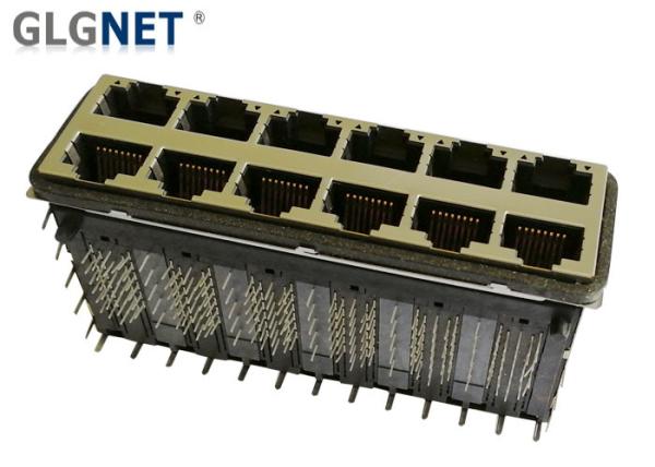 2 x 6 RJ45 Multiple Port Connectors