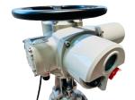 IP67 Electric Straight Stroke Valve Actuator Metal Customized
