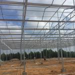 Green Agricultural Glass Greenhouse with 5mm Covering Span Width 9.6m 10.8m 12m