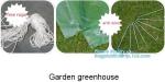 Strawberry Planting Green House,200 micron UV plastic film for agriculture green