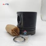 C4.4 C6.6 Diesel Engine Piston Kit 3135M111