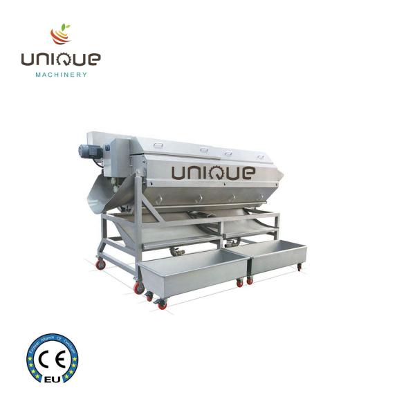 Industrial Potato Peeling Machine with Big Capacity and Stainless Steel 304