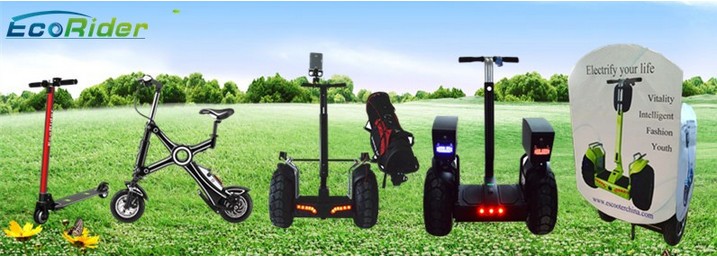 21 inch Kenda tire shock-absorb with strong flange plate big tire electric scooter