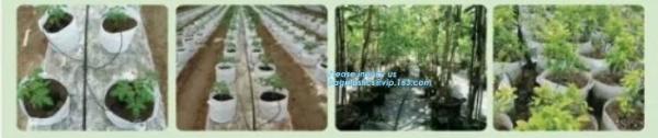 black white plastic mulch film/agricultural anti weed mulch/custom large size mulch film,Strawberry Film Ground Cover
