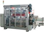 Carbonated / Pure Water Bottle Packing Machine With Rocker Arm Institution