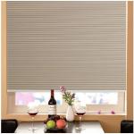 Contemporary Windows Shades Blinds Beige with Pleated Venetian style