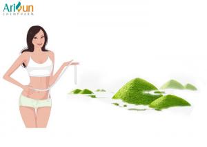 Wholesale Natural Fragrance Matcha Green Tea Powder Weight Loss A-AAAAA Grade For Cooking from china suppliers