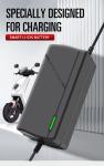 Smart Intelligent 48V 54.6V 5A Battery Charger for 10Ah 15Ah 20Ah Electric Golf