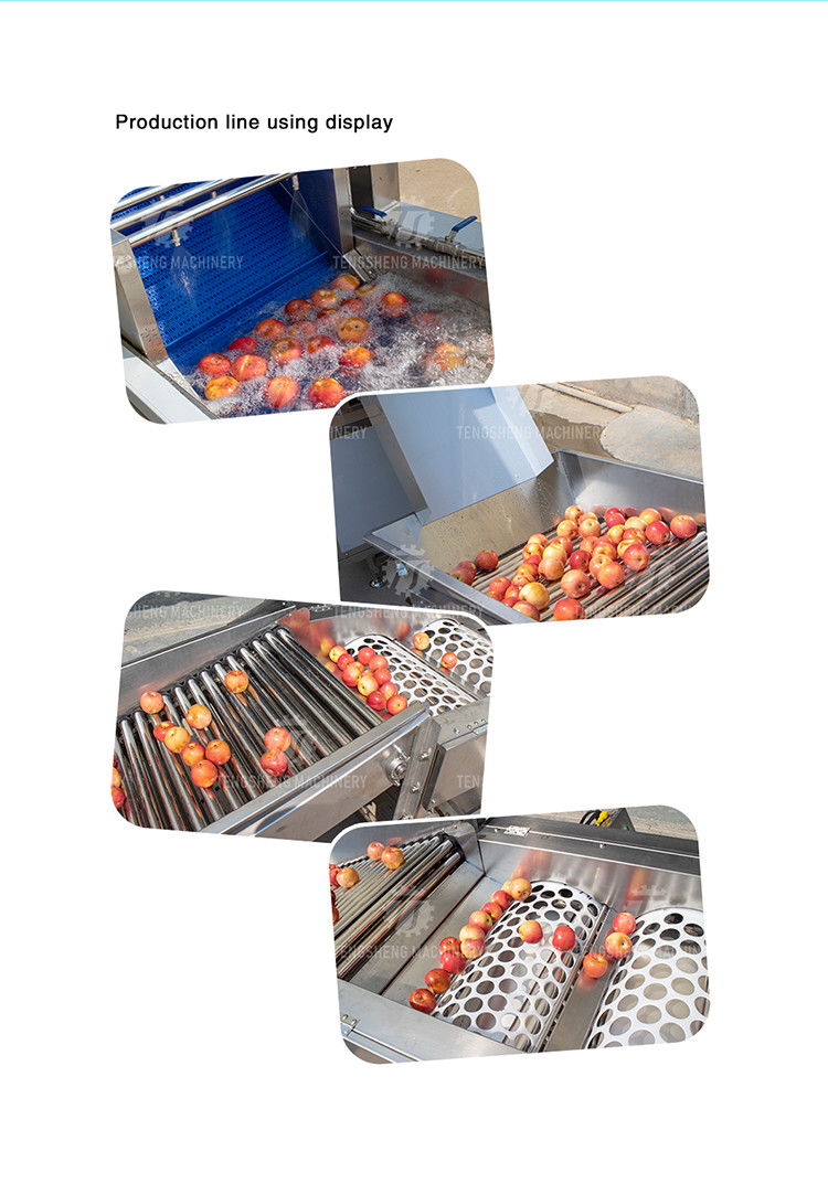 3KW 50HZ Fruit And Vegetable Processing Line Washing Sorting Machine