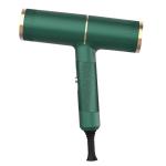 Multifunction Blow Hair Dryer One Step High Efficiency Green Hair Straightener