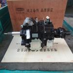 Wanliyang light truck A1197 gearbox assembly WLY520E-47-00 1102217100002