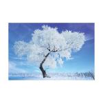 0.6mm PET 40*60cm 3D Lenticular Poster / 3D Depth Effect Lenticular Landscape