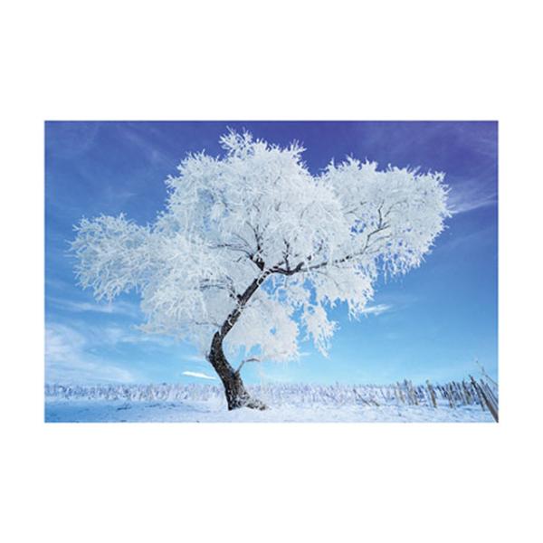 0.6mm PET 40*60cm 3D Lenticular Poster / 3D Depth Effect Lenticular Landscape