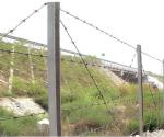 Decorative Use Barbed Wire Fence Corrosion Resistant Firm Frame Compact Size