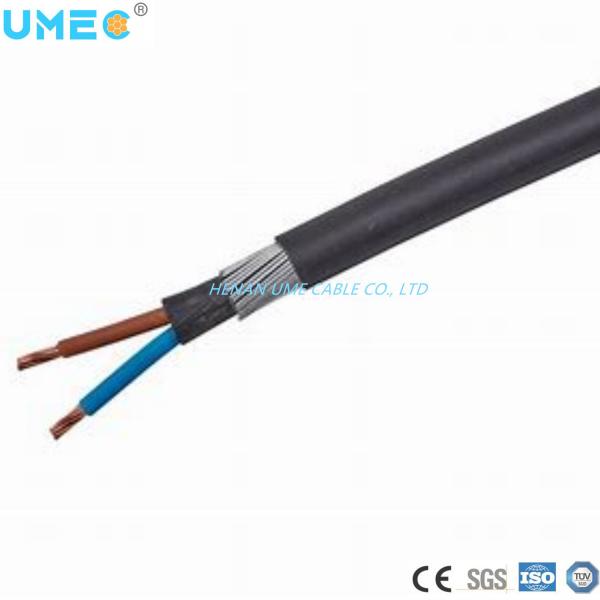 Customer Specified LV 0.6/1kv PVC Steel Conductor Swa Cable with PVC Sheath