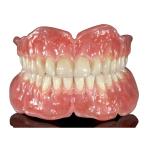 Flexible Rubber Removable Dental Crown Partial Denture Easy Maintain