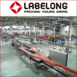 304 Stainless Steel CE 2000 BPH Pouch Juice Packaging Machine