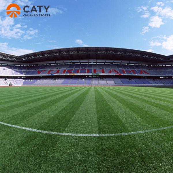 Free Sample Anti- UV EPDM Rubber Granules for Football Field Artificial Grass