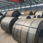 Cutting Service 2mm Thickness High Carbon Strength Hot Rolled Carbon Steel Coil