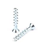 White Zinc Plated Flat Head Hex Socket Bolt Concrete Screw Carbon Steel Cement