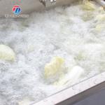 85kg Small air bubble ozone cleaning machine small automatic vegetable washing