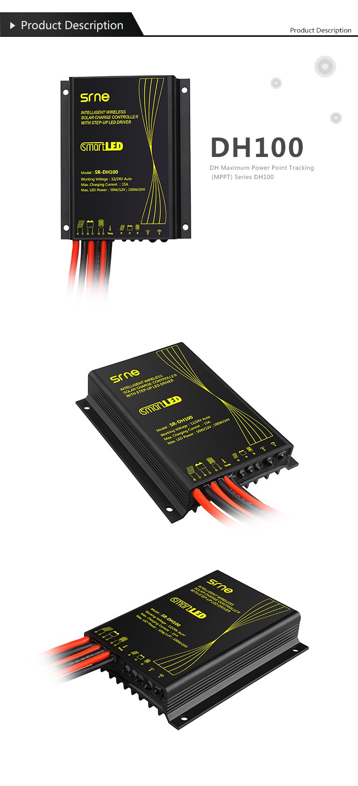 2-DH100_01.jpg