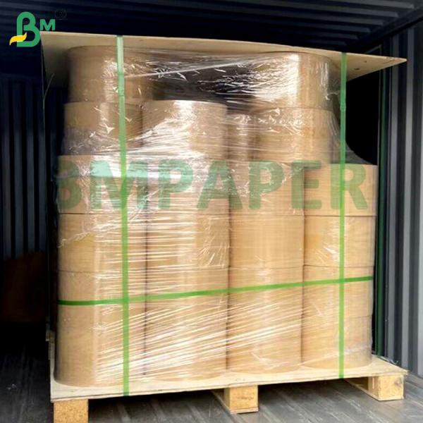 260g 280g 300g Good Sealability Temperature Resistant Paper Board PET Film For