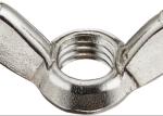 M16 M20 M24 Super Duplex Stainless steel Wing Nut Polished SS 2205 2507 904L