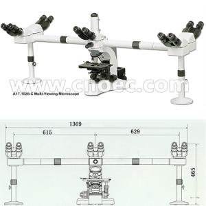 Educational Multi View Microscope Achromatic Microscopes CE A17.1026-C