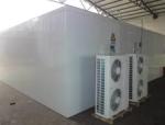 Commercial Cold room price 20ft container walk in freezer cold storage for keep