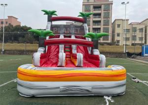 Wholesale PVC Stripes Double Lane Water Park Games Slide With Pool from china suppliers