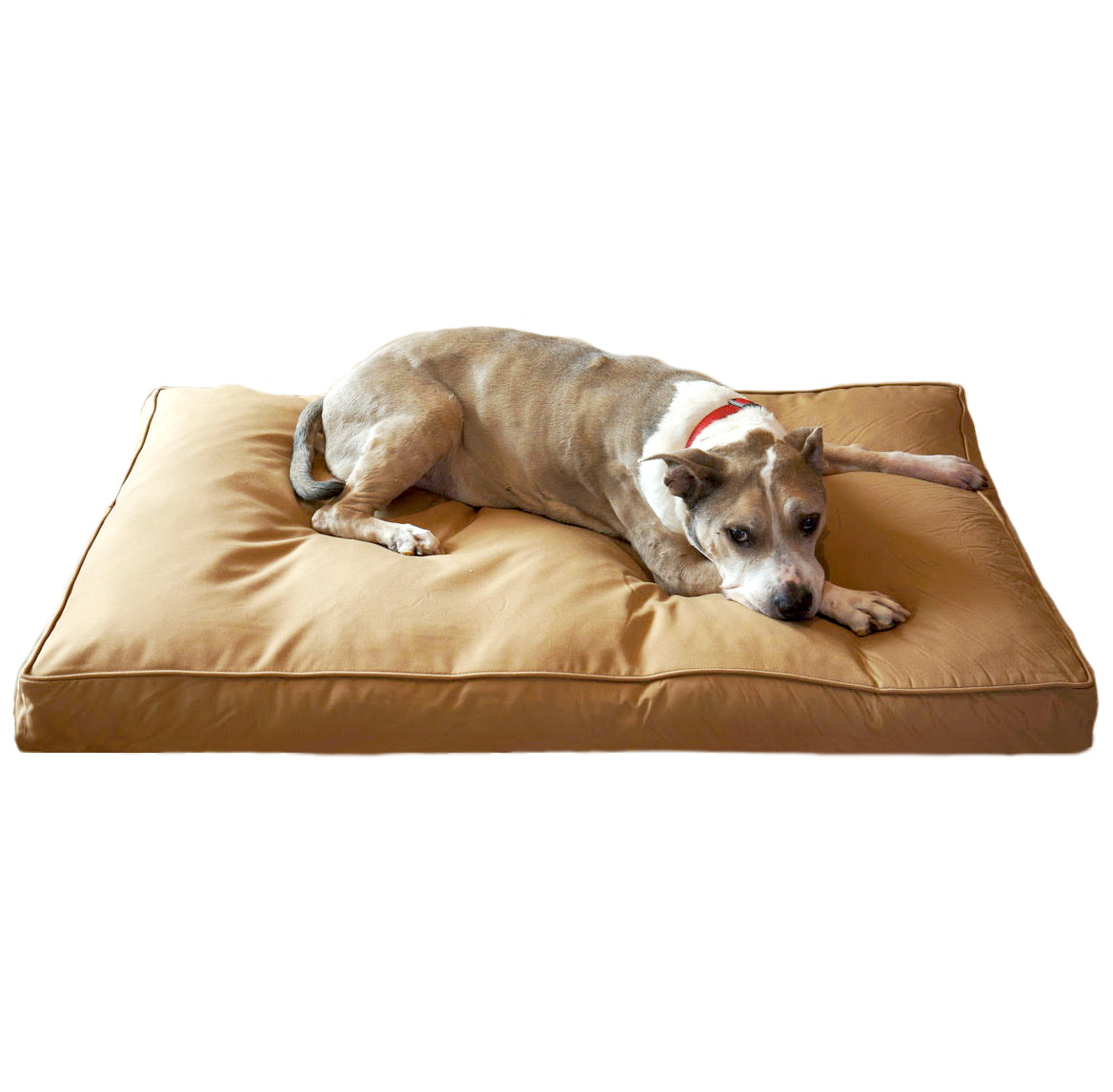 Memory Foam Chew Resistant Dog Bed , 52 * 34 * 5mm Anti Chew Dog Bed Removable